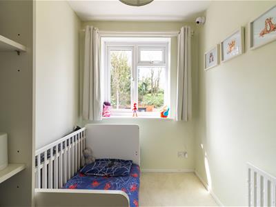 Picture 10